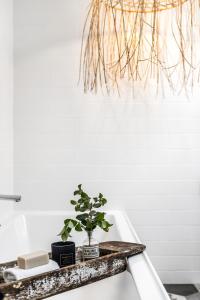 Fotografie z fotogalerie ubytování Sandy Toes Cottage v destinaci Byron Bay + 24 fotografií