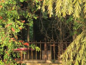 Zahrada ubytování Galkadawala Forest Lodge