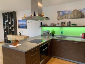 Fotografie z fotogalerie ubytování Luxus Penthouse Bregenz Feldmoos mit Whirlpool & riesen Terrasse, nahe Festspiele v destinaci Bregenz
