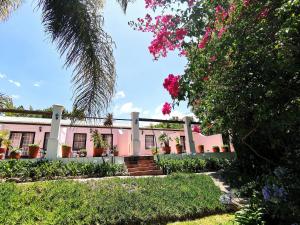 una casa rosa con flores delante en Le Manoir de Brendel, en Franschhoek