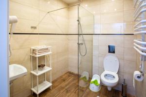 a bathroom with a shower and a toilet and a sink at Rancho Ulinia koło Łeby in Ulinia +40 photos
