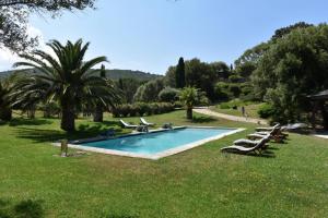 einen Pool in der Mitte einer Liegewiese mit Liegestühlen in der Unterkunft Domaine Panciarella in Saint-Florent