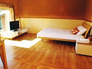 a bedroom with a bed and a television in it at Angkure Pension in Seogwipo +7 photos