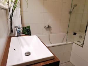 un bagno con un lavandino bianco e una doccia di Apartment New York a Mühlhausen