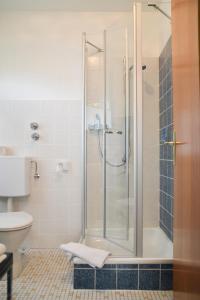 a bathroom with a shower and a toilet at Landhotel Kunzental in Zorge