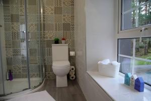 a bathroom with a toilet and a glass shower at Ceim house, Restful rural home Gap of dunloe, Killarney in Derrylea