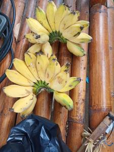 a bunch of bananas sitting on top of a wooden fence at Ritinula Resort in Tejakula