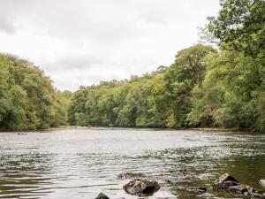 vistas a un río con árboles en el fondo en Little Tigh Clovelly, en Spean Bridge