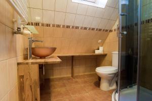 een badkamer met een wastafel en een toilet bij Apartament Elmal Pardałówka in Zakopane