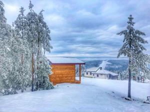 Apartmani Smigic Divcibare durante l'inverno