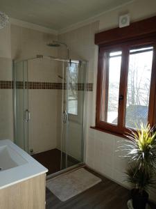 a bathroom with a shower and a sink and a window at Chambre double dans Auberge Alsacienne in Scherwiller