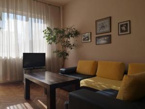 sala de estar con sofá y mesa en Maritza Apartment, en Plovdiv