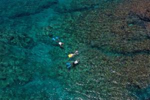 two people swimming in the water in the ocean at ANA InterContinental Manza Beach Resort by IHG in Onna