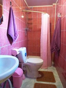 a bathroom with a toilet and a sink and a shower at Коттедж у Михайла  in Slavske