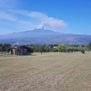 a large field with a mountain in the background at OASI PARK GARDEN CLUB in Fiumefreddo di Sicilia