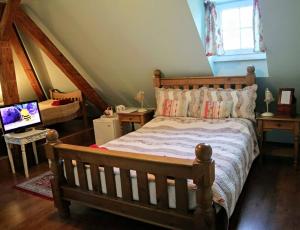 ein Schlafzimmer mit einem Bett und einem TV in der Unterkunft Pension Grant Lux Znojmo in Znojmo