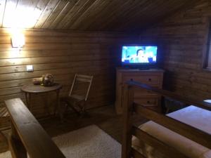 a room with a tv and a table and a chair at Gîtes les Chalets Vezzani Spa in Vezzani