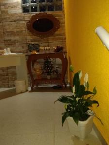 a room with a potted plant in front of a table at Pontal Praia Suítes in Arraial do Cabo +47 photos