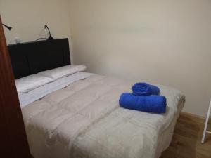 uma cama com uma toalha azul em cima em APARTAMENT DE LA LALI ESCALÓ em Escaló