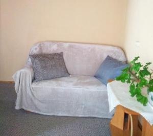 a white couch with two pillows in a living room at Коттедж у Михайла  in Slavske