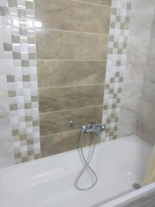 y baño con ducha y manguera. en Apparts zayatine en Túnez