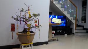 TV a/nebo společenská místnost v ubytování Sena home 3*3*Near Danang Dragon bridge*Han river