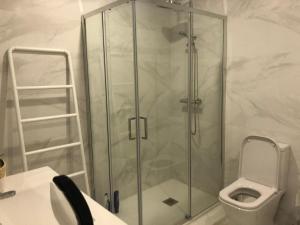 a shower stall in a bathroom with a toilet at T1 Centro Santa Maria da Feira in Santa Maria Da Feira