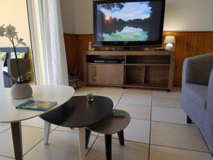 a living room with a table and a tv at Le Gecko Vert in Manapany-les Bains