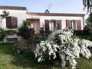 a house with white flowers in front of it at Au Soleil d'Albi in Albi
