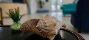 Gallery image of Hotel Porto de Paz - Shantiniketan in São Francisco do Sul +42 photos