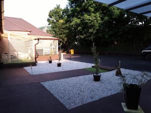 Zahrada ubytování Bubble House - Apartmanok