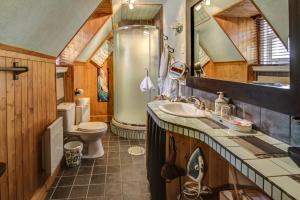 a bathroom with a sink and a shower and a toilet at Chateau Murdock Gite et Esthétique 1950 in Saguenay
