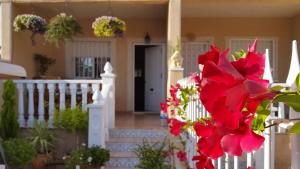 Vonkajšia záhrada v ubytovaní La Zenia Holiday Home