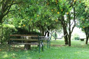 ławka w parku siedząca w trawie pod drzewem pomarańczowym w obiekcie Casa da Breia w mieście Carregadouro