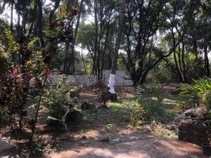 um jardim com árvores e plantas num quintal em Prabhukrupa Tourist Farm em Alibaug