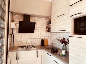 a kitchen with a stove and a tv on the wall at Studio lux Loft on Victory street in the City Center in Vinnytsya +21 photos