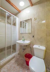 a bathroom with a toilet and a sink and a shower at Pensión Apolo XI in Madrid