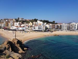 Naturlandskabet i nærheden af lejligheden