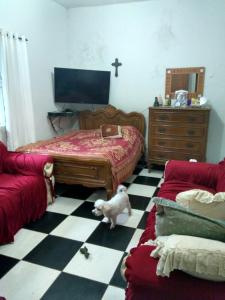 un dormitorio con un perro parado en un suelo a cuadros en Casa da Rose, en Río de Janeiro