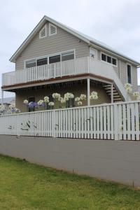 Gallery image of Red Waratah in Berry