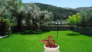 a white vase with a plant in a yard at House of Garden in Dhráganon