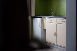 Kuchyňa alebo kuchynka v ubytovaní Apartmány16 Olešnice v Orlických horách