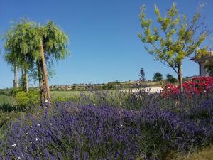 A garden outside B&B Itufi