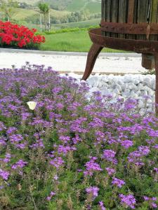 A garden outside B&B Itufi