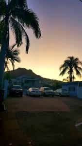 a group of cars parked in a parking lot with palm trees at Strand Motel in Townsville
