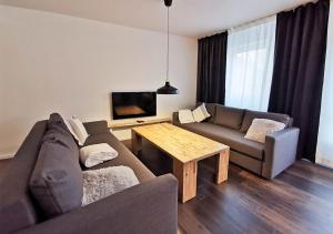 a living room with a couch and a table at spacious studio - city centre - airconditioned - netflix - terrace in Heidelberg