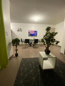 TV a/nebo společenská místnost v ubytování Appartement résidentiel
