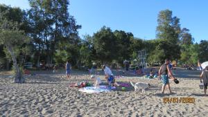 un grupo de personas en una playa de arena en Cabañas Paihuén, en Panguipulli