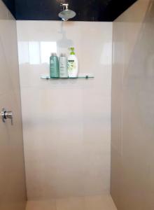a bathroom with a shower with two soap bottles on a shelf at Couples Retreat with Mountain View Near Hobart in Sandford