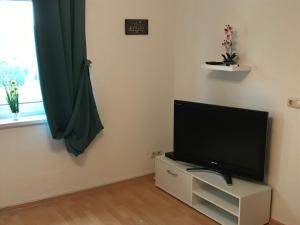 Televízia a/alebo spoločenská miestnosť v ubytovaní Ferienwohnung zum Pinguin II